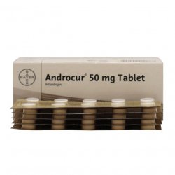 Андрокур (Ципротерон) таблетки 50мг №50 в Саратове и области фото