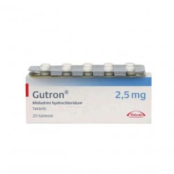 Гутрон таблетки 2,5 мг. №20 в Саратове и области фото